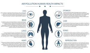 Air and Water Quality