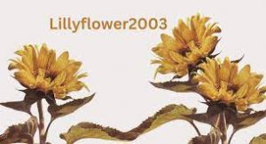 Fillyflower